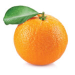 پرتقال تامسون عمده